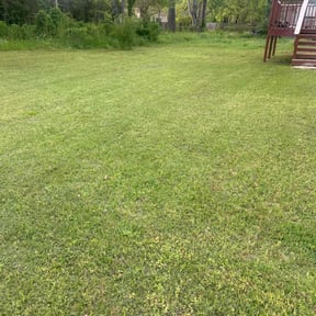 grass maintenance by LI LawnCare reviewed on June 8, 2023