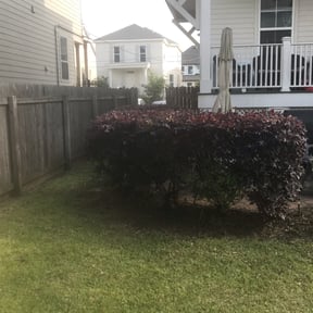 Bush Trimming by Valencia Landscaping reviewed on August 19, 2025