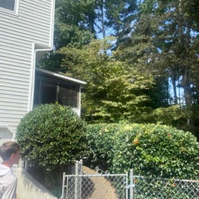 Bush Trimming by Waters Landscaping reviewed on June 27, 2022