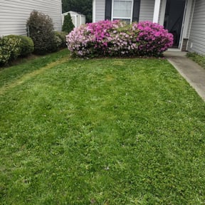 Bush Trimming by F&M LAWNCARE reviewed on August 20, 2025