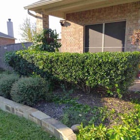 Bush Trimming by Jade lawn care services reviewed on August 19, 2025