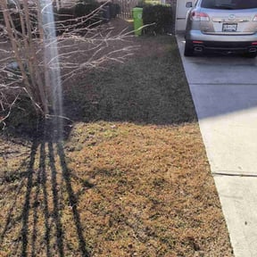 Leaf Removal by D*T industries reviewed on September 22, 2025