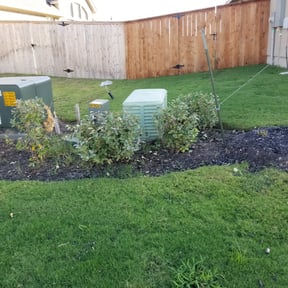 Bush Trimming by Green Hands Landscaping reviewed on November 21, 2025