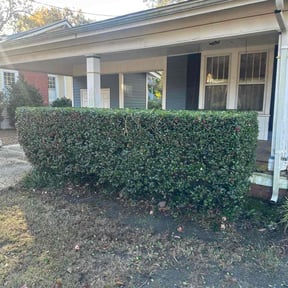 Bush Trimming by Over The Hedge Landscapes reviewed on October 20, 2025