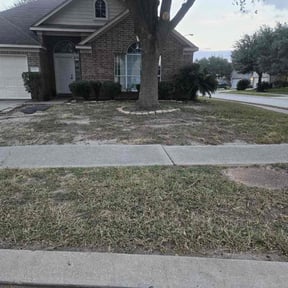 Bush Trimming by Bryan lawncare llc reviewed on November 21, 2025