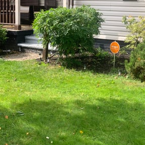 Bush Trimming by RK Lawncare reviewed on April 6, 2023