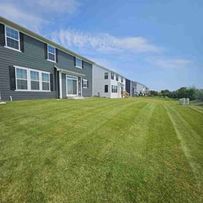 turf maintenance by Burton's Landscaping reviewed on September 14, 2024