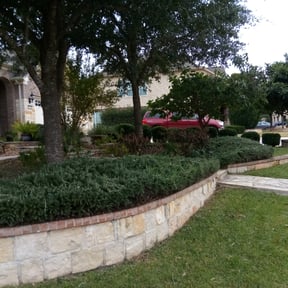 Bush Trimming by Emerald Green Property Management LLC reviewed on August 21, 2025
