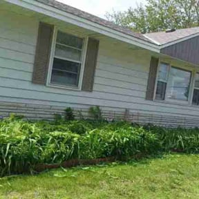 Bush Trimming by THE BURGS BEST LAWN SERVICE INC reviewed on November 26, 2025