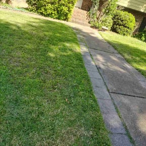 Bush Trimming by Exotic Green reviewed on August 21, 2025