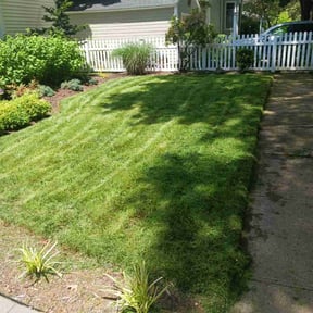 gardening service by Spinelli Scenery Solutions LLC. reviewed on August 21, 2025