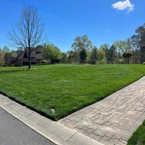 lawn maintenance by JD&#039;s Green stride solutions reviewed on July 26, 2025