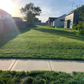 yard maintenance by Above & Beyond Lawncare reviewed on August 18, 2025