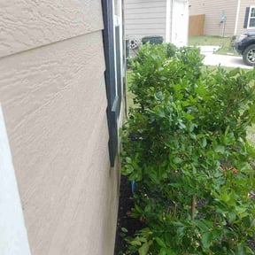 Bush Trimming by Immaculate rehab services LLC reviewed on August 18, 2025