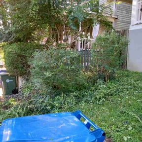 Bush Trimming by Tree Top Lawn Services reviewed on August 18, 2025