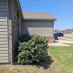 Bush Trimming by Fordson Lawn Care reviewed on November 7, 2025