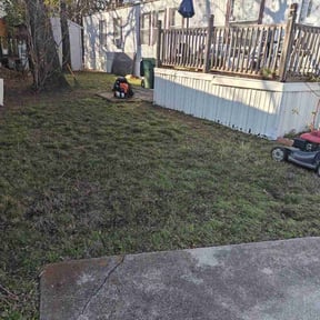Leaf Removal by BD's Platinum Lawncare LLC reviewed on August 15, 2025