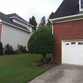 Bush Trimming by Cross County Lawn and Landscape reviewed on August 18, 2025