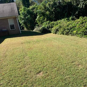 Bush Trimming by Under Cutters Lawn & Landscaping reviewed on August 15, 2025