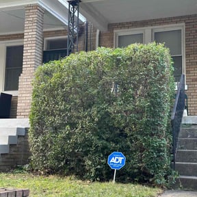 Bush Trimming by Freshly Mowed reviewed on August 13, 2025