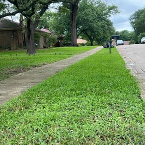 residential landscaping by Ultimate Landscape Contractor reviewed on August 15, 2025