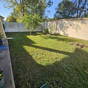 lawn care by Coey and sons reviewed on August 15, 2025