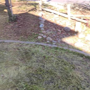 Bush Trimming by Parker N Sons reviewed on January 30, 2026