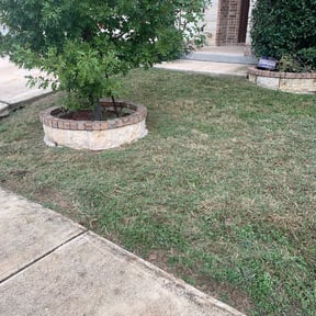 Bush Trimming by Gdemand services reviewed on August 16, 2025