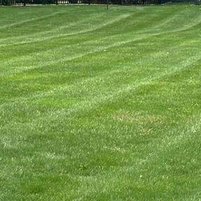residential landscaping by American landscaping llc. reviewed on August 21, 2025