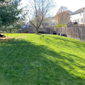 residential landscaping by Carranza Landscape reviewed on August 20, 2025