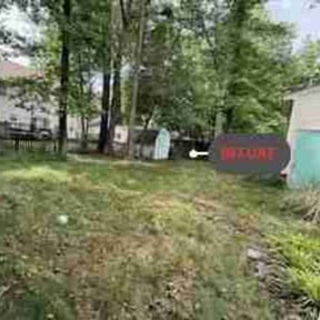 Leaf Removal by Lawn care reviewed on June 6, 2023