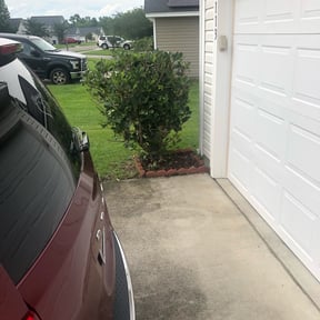 Bush Trimming by Geezs Lawn Care reviewed on October 15, 2024