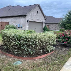 Bush Trimming by RTH Lawn Service & Landscaping LLC reviewed on August 20, 2025
