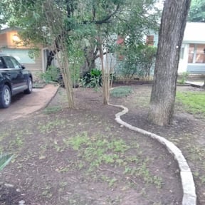 Leaf Removal by Michael Schmidt reviewed on August 21, 2025