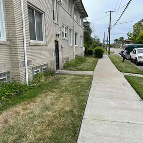 Bush Trimming by Jay's Property Management Lawn Tree Service reviewed on August 16, 2025
