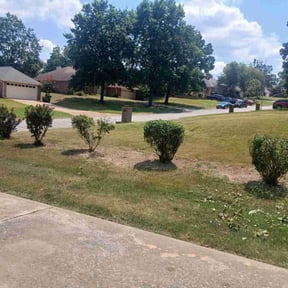 Bush Trimming by Turf Cut Lawncare reviewed on November 9, 2025