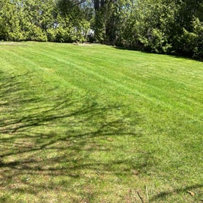 yard care by ALL AROUND Lawn Care reviewed on August 17, 2025