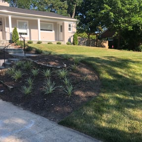 Flower Bed Weeding by Supreme Home Services reviewed on August 14, 2025