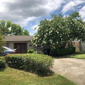 Bush Trimming by T & Z Lawn & Tractor Service reviewed on August 19, 2025