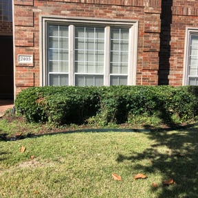 Bush Trimming by Jae The Gardener reviewed on August 15, 2025