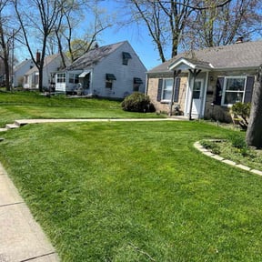yard maintenance by Lonestar Lawn Care reviewed on August 20, 2025