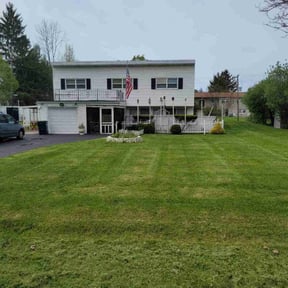 grass cutting by Family Lawn Care reviewed on September 12, 2023