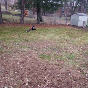 Leaf Removal by Michael lawn services reviewed on August 19, 2025