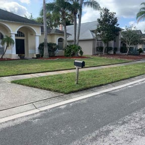 grass cutting by Demiteria Casey Mattox reviewed on August 17, 2025