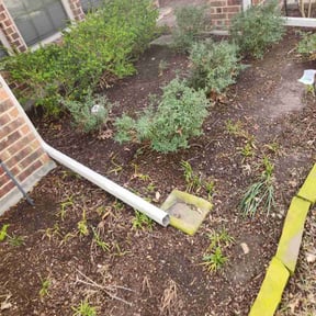 Flower Bed Weeding by Harris Best Lawncare LLC reviewed on August 19, 2025