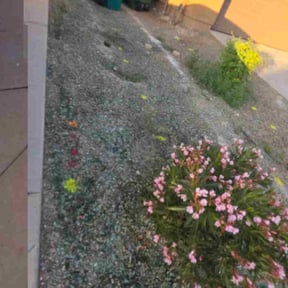 Flower Bed Weeding by Express Innovations reviewed on December 24, 2025