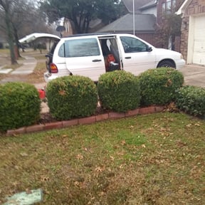 Bush Trimming by Curry's mowing reviewed on August 19, 2025