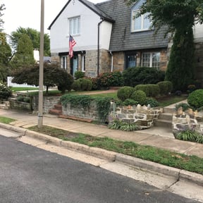 Bush Trimming by Terry Lawncare reviewed on August 19, 2025