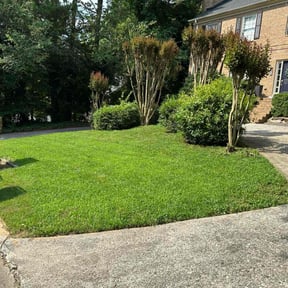 yard care by RTH Lawn Service & Landscaping LLC reviewed on August 21, 2025