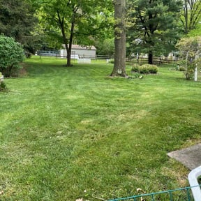 yard service by K and b property solutions llc reviewed on August 17, 2025
